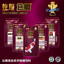 [PA0934] Mega Jumbo Guba - King Competition L 5 Kg